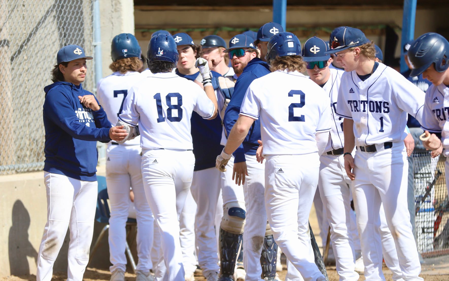 Tritons looking to punch ticket to nationals on the diamond
