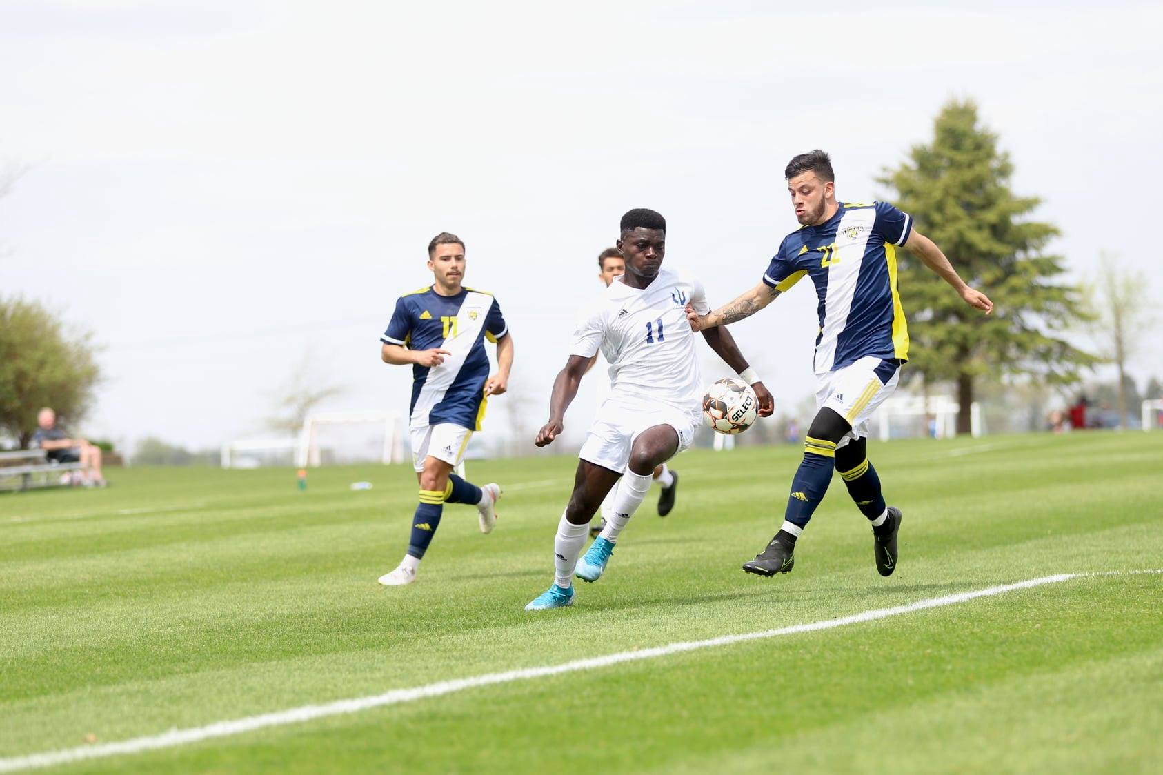 Tritons bow out of regionals
