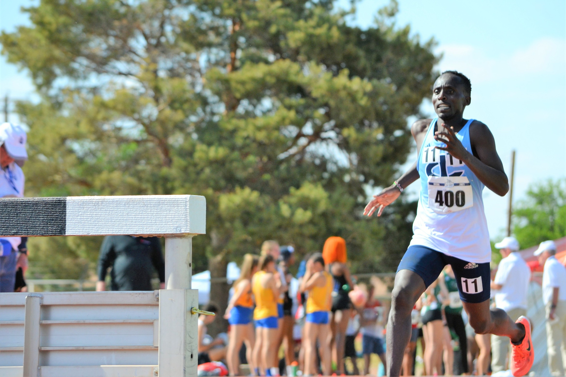 Bungei dominates, claims title