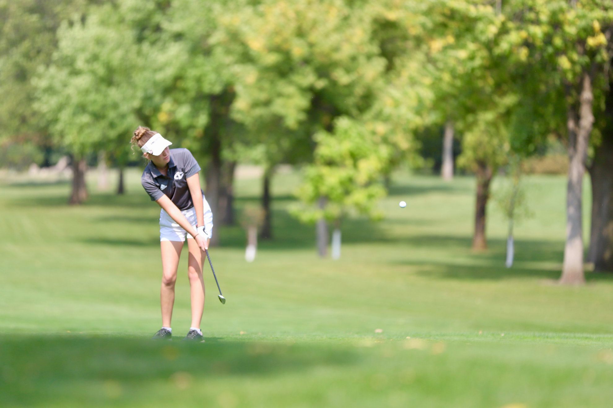 Boleyn paces Iowa Central at home invite