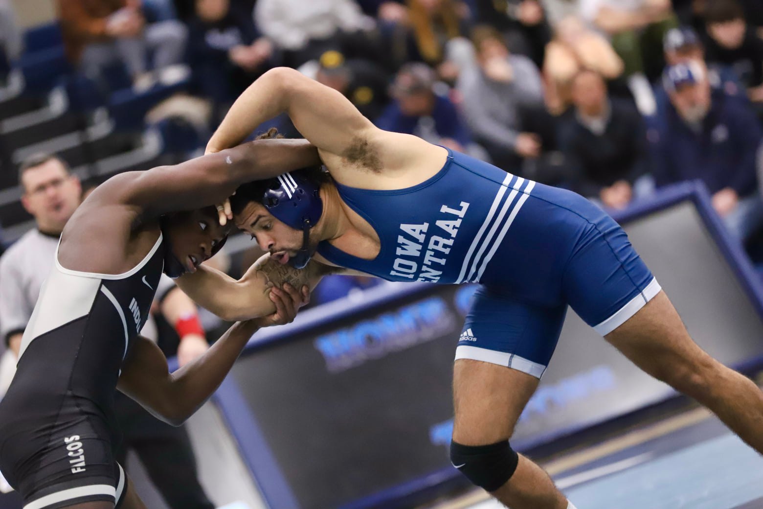 Three claim district titles for Tritons