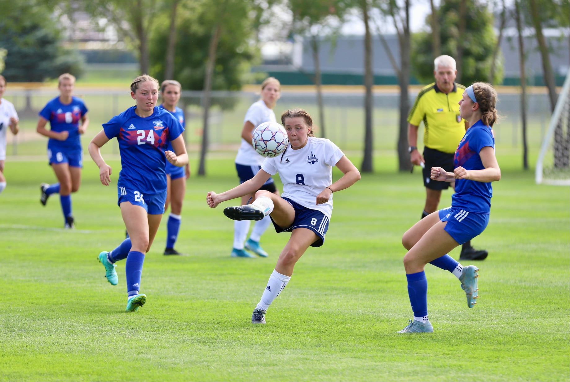 Tritons fall on the road