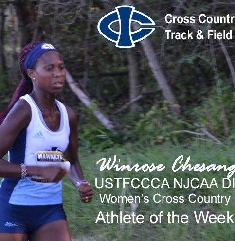 Tritons Claim National Honors