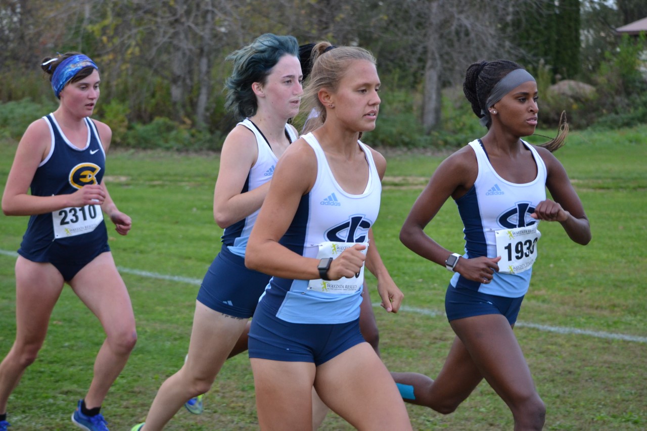 Strong showing by Tritons at Drews/Neubauer